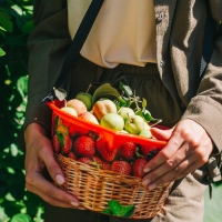 Ёмкость для сбора ягод, 3 л, &laquo;Корзина&raquo;, красная