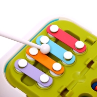 Развивающая игрушка &laquo;Бизикубик&raquo;