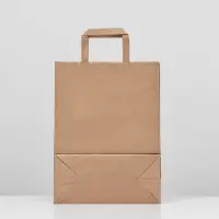 Пакет крафт без печати, с плоскими ручками 24 х 12 х 32 см