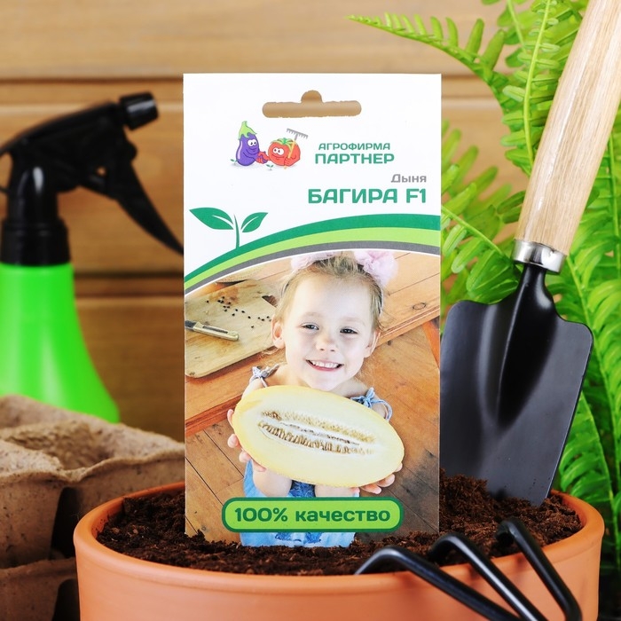 Семена Дыня Семена Дыня "Багира", F, 5 шт