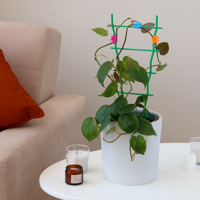 Клипса для растений &laquo;Цветок&raquo;, набор 10 шт., МИКС