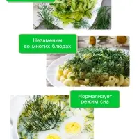 Семена Укроп "Кибрай", 1 г