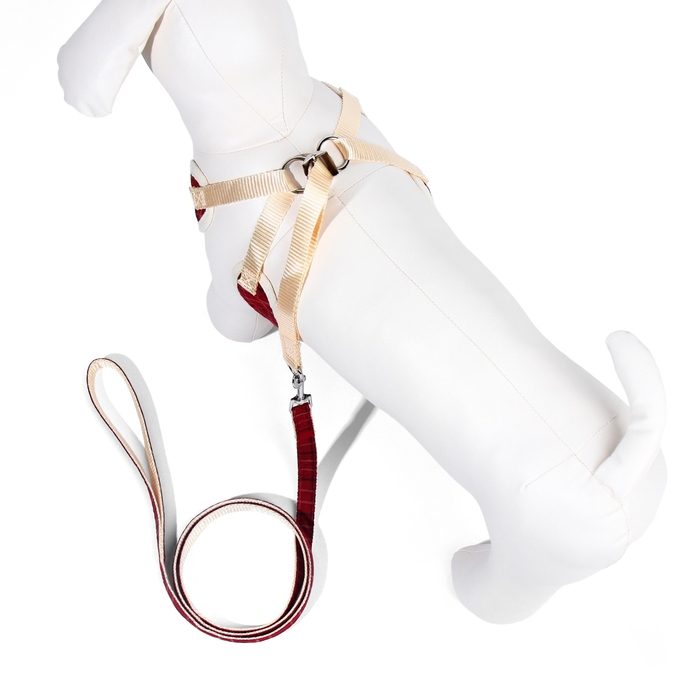 Комплект с мягкой шлейкой "Клетки", размер M, поводок, 120 х 1,5 см, ОГ 34-66 см, красный