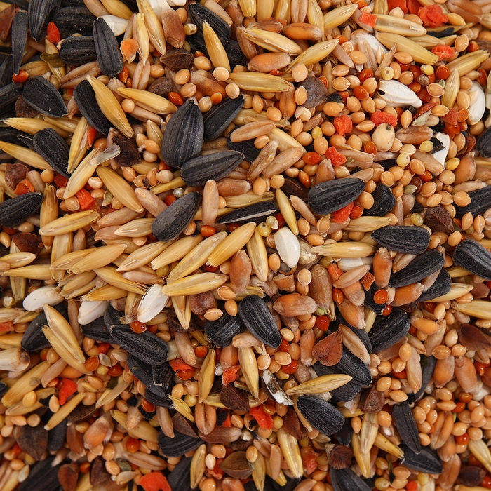 Корм "Пижон" для средних попугаев, с витаминами и минералами, 400 г