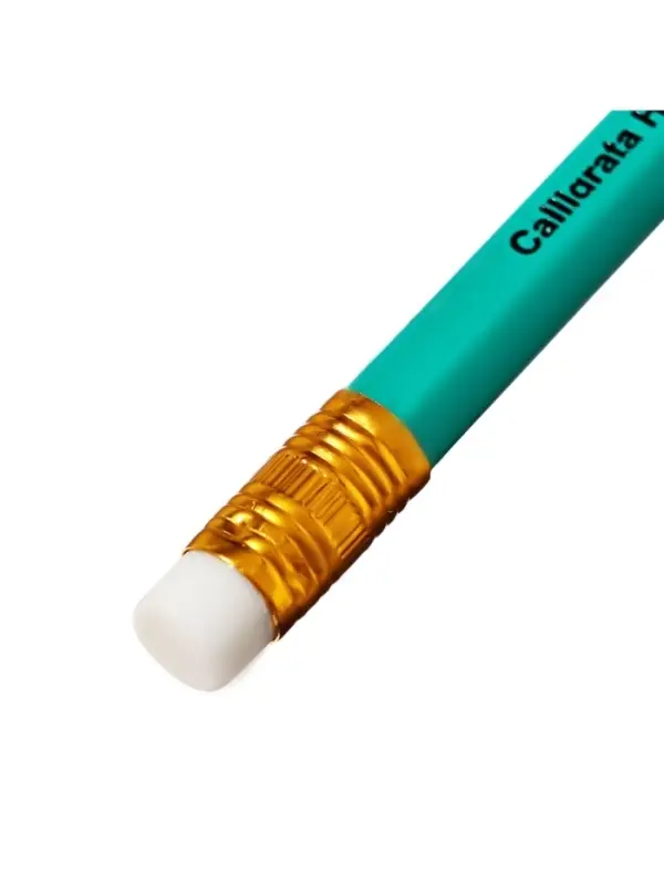 Набор карандашей чернографитных 12 штук, Calligrata Classic, с ластиком, заточенные, пластик, трехгранные, зеленые