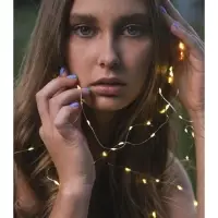 Гирлянда &laquo;Нить&raquo; 1 м роса, IP20, серебристая нить, 10 LED, свечение жёлтое, CR2032х2