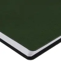 Ежедневник Strep Front на заказ, недатированный, зеленый