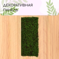 Декоративная панель, 90 &times; 40 см, &laquo;Ряска&raquo;, Greengo