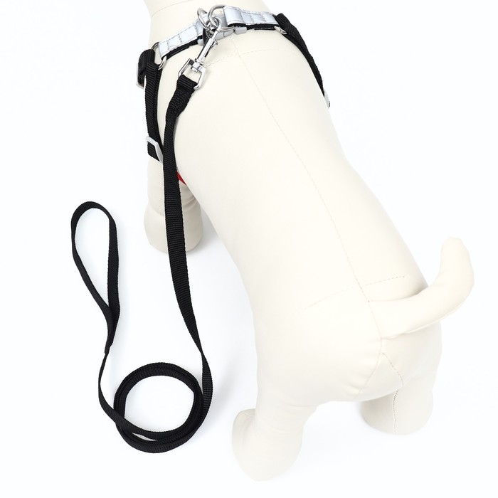 Комплект Sport+, S, поводок 120 x1 ,5 см, ОШ 39-41 см, ОГ 44-48 см, вес животного 7-13 кг, чёрный 9 Комплект Sport+, S, поводок 120 x1 ,5 см, ОШ 39-41 см, ОГ 44-48 см, вес животного 7-13 кг, чёрный 9