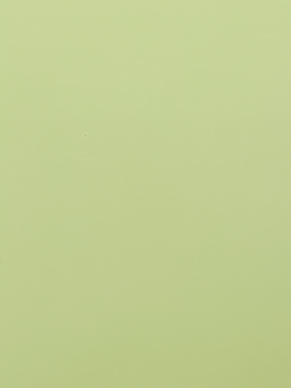 Плёнка для цветов "Письмо" 58см*5м, светло зелёный