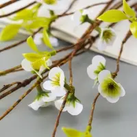 Цветы искусственные &laquo;Раняя вишня&raquo;, h=65 см, белые