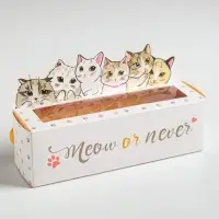 Коробка для макарун кондитерская, упаковка &laquo;Meow or never&raquo;, 18 х 5,5 х 5,5 см