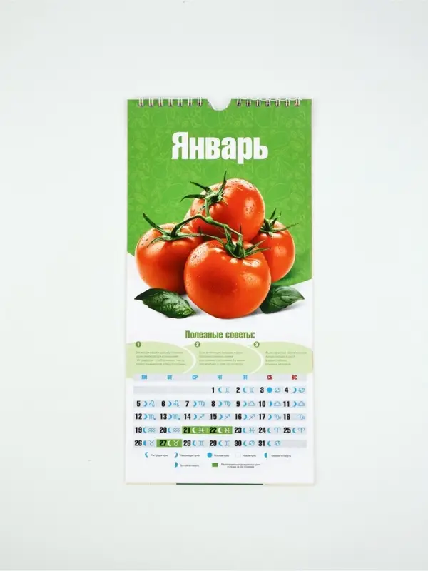 Календарь 2026 на ригеле &laquo;Садово-огородный&raquo; 16.5&times;34 см
