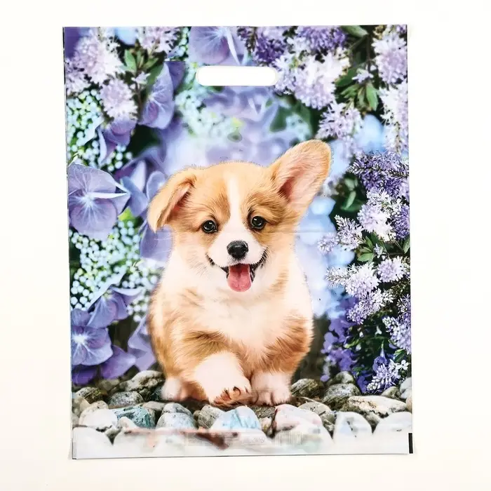 Пакет &laquo;Рыжик&raquo;, полиэтиленовый с вырубной ручкой, 38&times;47 см, 60 мкм