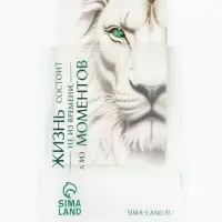 Пакет подарочный &laquo;Новогодний&raquo;, с очками, 31 &times; 11 &times; 40 см