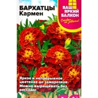 Семена цветов Бархатцы "Кармен", ц/п,  О, 0,2 г.