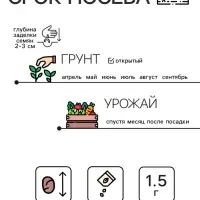 Семена Редис "Кинг-конг", 1,5 г