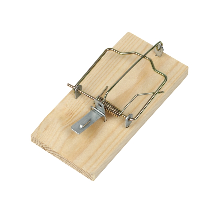 Крысоловка, 6 &times; 12 см, деревянная, Greengo