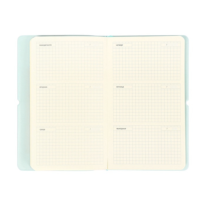 Планинг карманный недатированный, 80 листов, 100х170 мм, deVENTE.Jane, мягкая обложка ПВХ, на резинке, перфорация, ляссе, блок 70%, бирюзовый