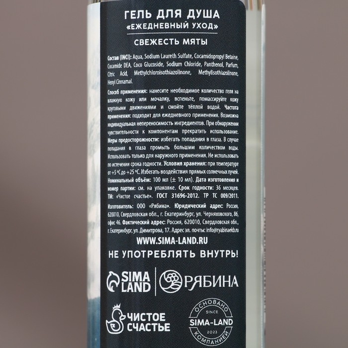 Подарочный набор косметики &laquo;Сильному духом&raquo;, гель для душа и шампунь для волос, 2 х 100 мл, Новый Год