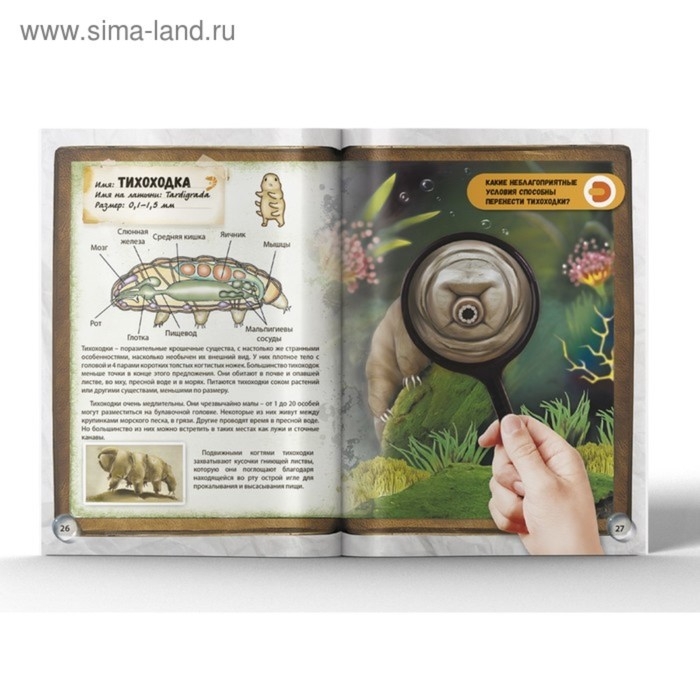 Энциклопедия 4D в дополненной реальности «Мир под микроскопом» Энциклопедия 4D в дополненной реальности «Мир под микроскопом»