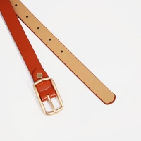 Ремень женский, ширина 1.8 см, винт, пряжка металл, цвет рыжий