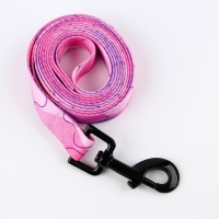 Набор &laquo;Нежность&raquo;, застёжка - фастекс, поводок 2 м и ошейник 28-46 см