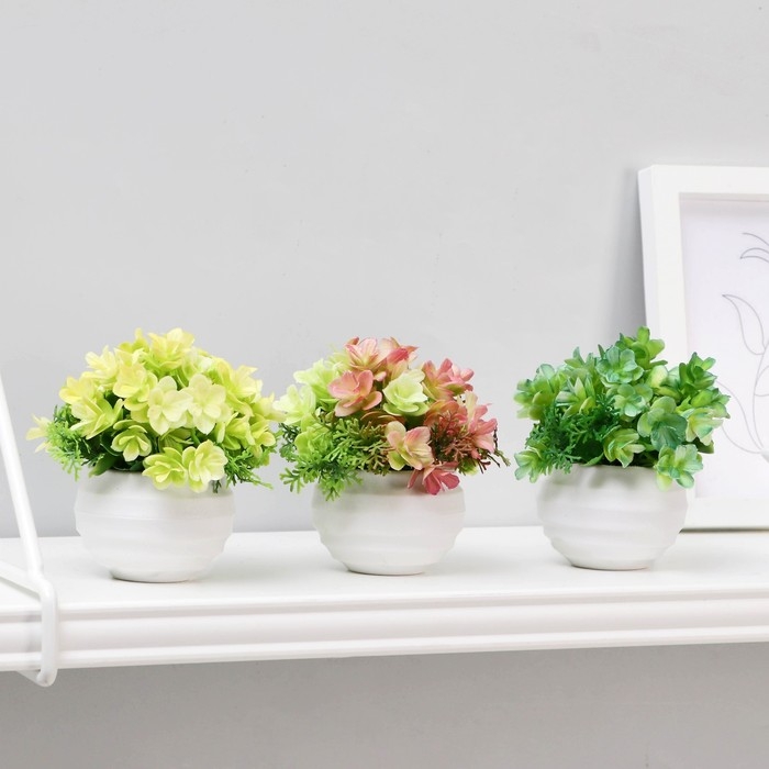 Бонсай в горшке Бонсай в горшке "Суккуленты пышные" 6х8 см, микс