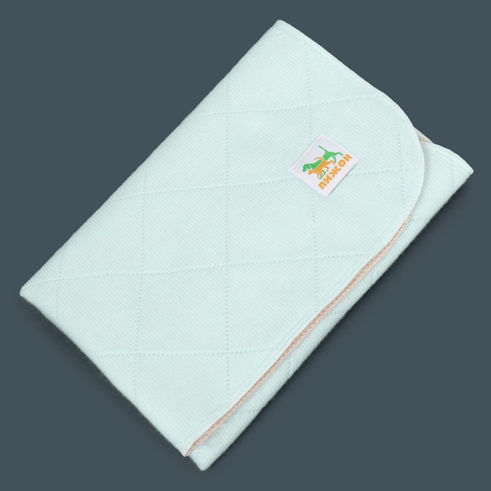 Пелёнка для животных многоразовая впитывающая, 60 х 50 см, мятная Пелёнка для животных многоразовая впитывающая, 60 х 50 см, мятная