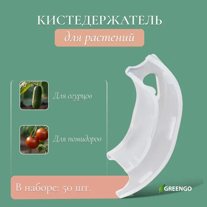Кистедержатель &laquo;Улитка&raquo;, 3.5 см, набор 50 шт., Greengo