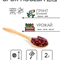 Семена Бобы "Русские черные", 2 г