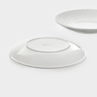 Набор тарелок 2 шт Magistro Fray 23х4 см