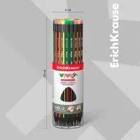 Карандаш чернографитный, ErichKrause &laquo;Vivo&raquo;, HB, d=2.2 мм, с ластиком, дерево, трехгранный в тубусе, микс