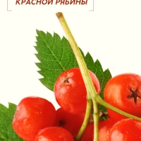 Шампунь для волос, молодость и объем, аромат рябины, 400 мл, Рябина