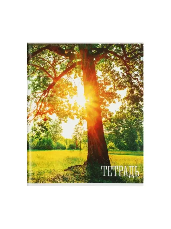 Тетрадь 48 листов в клетку, Calligrata &laquo;Времена года&raquo;, серые листы, МИКС