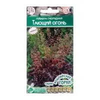 Семена цветов Гейхера гибридная &laquo;Тающий Огонь&raquo;, многоленик, 5 др