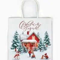 Набор пакетов крафтовых &laquo;Новогодний&raquo;, 10 шт, 22 &times; 22 &times; 11 см