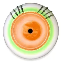 Набор горшков цветочный поддоном 4 шт 0,4 / 1 / 2,5 / 5 л керамика, Азия