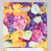 Пакет "Весенний букет", полиэтиленовый с вырубной ручкой, 38 х 45 + 3 см, 60 мкм