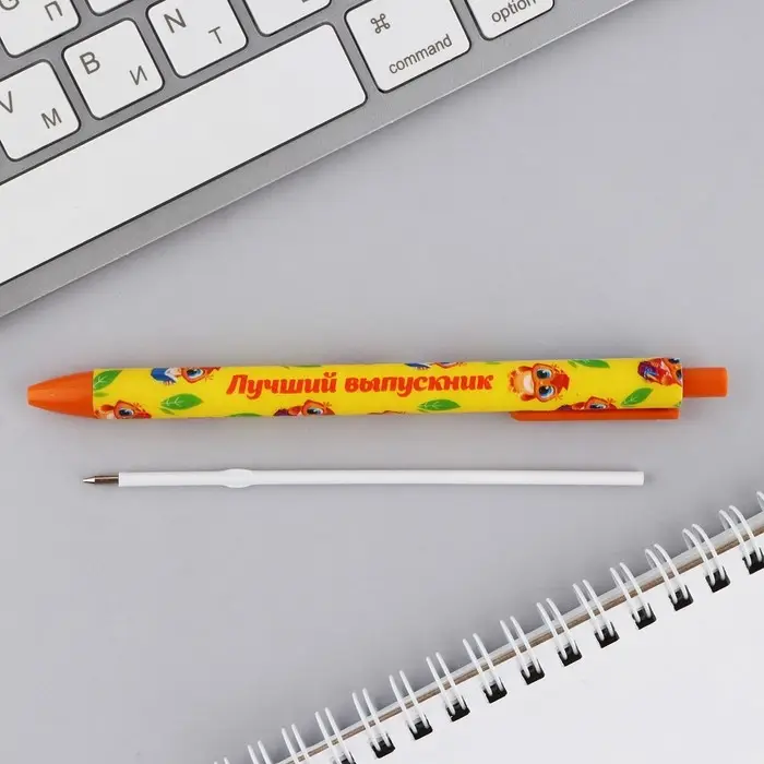 Ручка шариковая, синяя паста, матовый корпус, автоматическая в конверте, 0.7 мм &laquo;Удачи тебе, выпускник!&raquo;