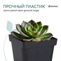 Горшок для рассады, 700 мл, d=10 см, h=12.5 см, пластик, чёрный, Greengo