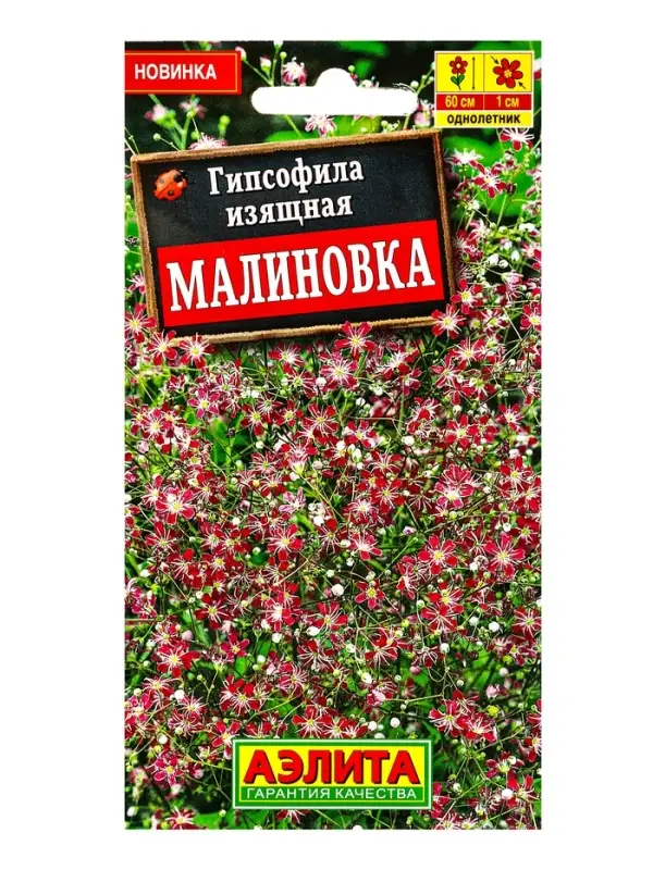 Семена цветов Гипсофила изящная Малиновка , Ц/П,0,05 г