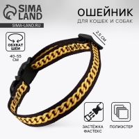 Ошейник BOSS, застёжка - фастекс, 2.5 см, 40-55 см