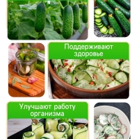 Семена огурца "Гирлянда", F1, 10 шт.