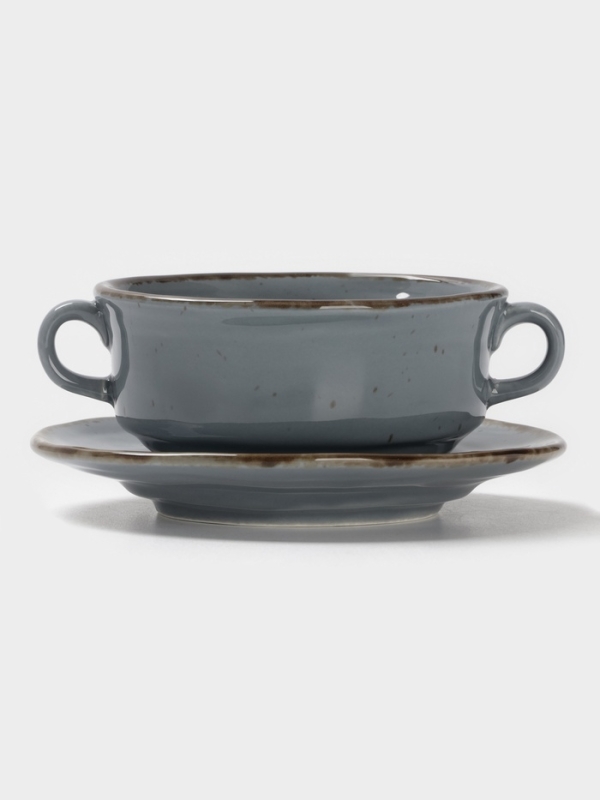 Бульонница Magistro "Alpine Frost" 250 мл 14,6х14,6х7,2 цвет синий с блюдцем