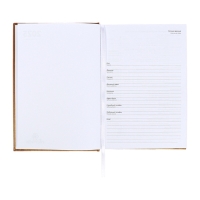 Ежедневник датированный 2024 года, А5, 176 листов, Attomex.Regent, обложка бумвинил, ляссе, блок 70 г/м2, золотой