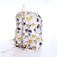 Рюкзак школьный из текстиля на молнии, 3 кармана, пенал, цвет белый/разноцветный