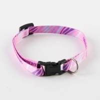 Ошейник для собак и кошек с фастексом &laquo;Маленькая леди&raquo;, 30х1 см