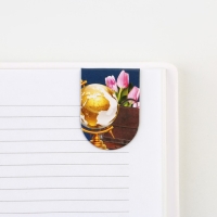 Закладки магнитные на подложке «Любимому учителю», 6 шт. Закладки магнитные на подложке «Любимому учителю», 6 шт.