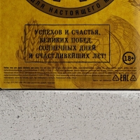 Новогодний подарочный набор косметики &laquo;Как пивас, только лучше&raquo;, гель для душа и шампунь для волос во флаконах пиво, 2 х 250, Новый Год